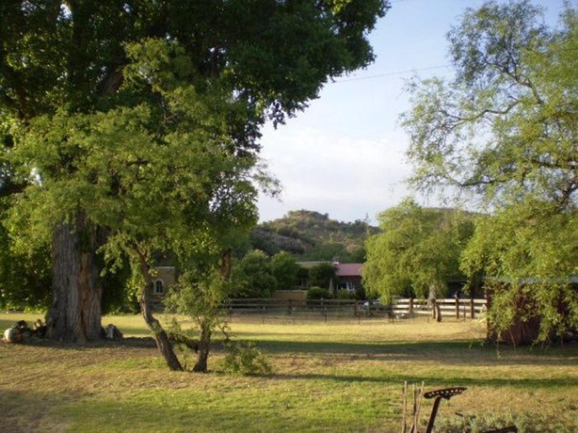 Spirit Tree Inn B&B Patagonia Esterno foto