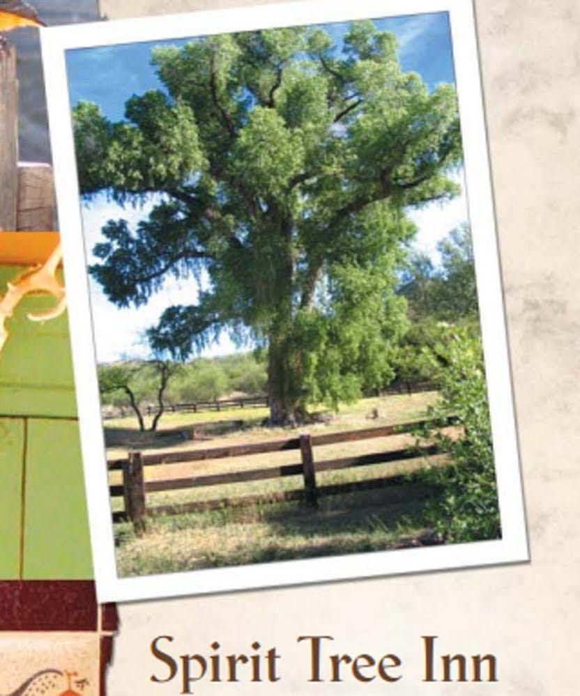Spirit Tree Inn B&B Patagonia Esterno foto